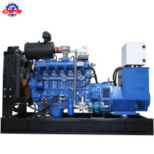 China Hersteller 50kW / 68hp NG / Biogas-Generator-Set